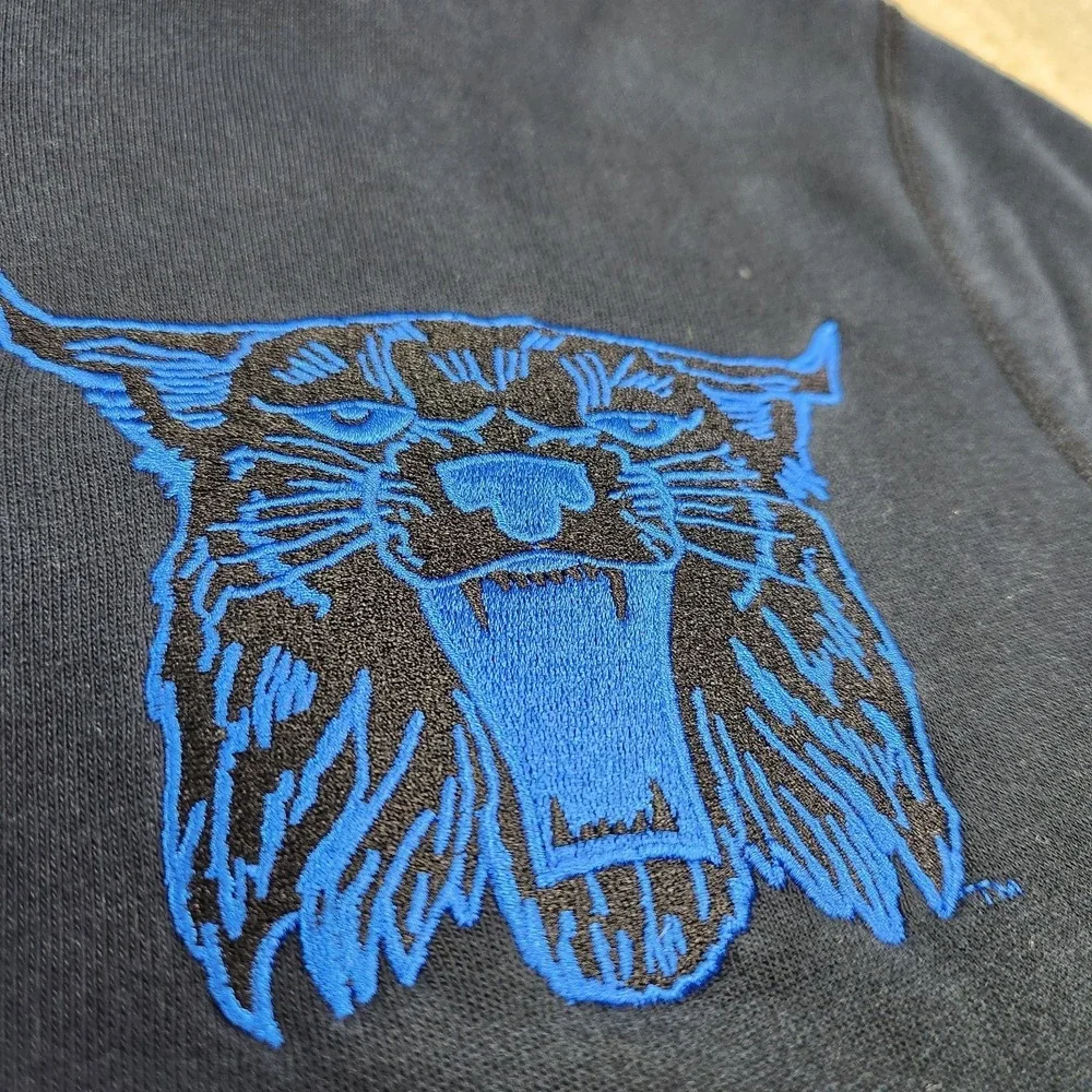 Vintage‎ Kentucky Wildcats Hoodie Men Medium Nike Y2K Black Blue Fleece NCAA UK